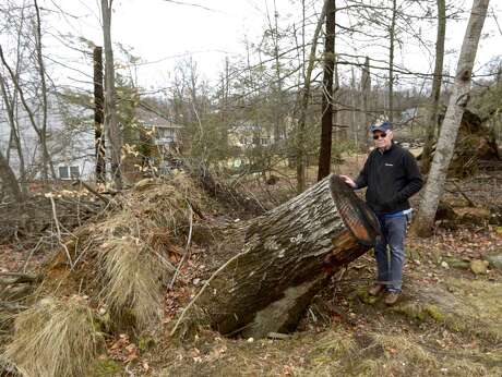 Ray Murphy had his home and property damaged from the storm last May. The home has been repaired but you can still see the damage from the storm to the trees on the property. Thursday, February 7, 2019, in Brookfield, Conn. Photo: H John Voorhees III / Hearst Connecticut Media / The News-Times
