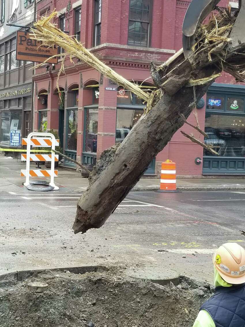 Albany Water uncovers twocenturyold wood water main