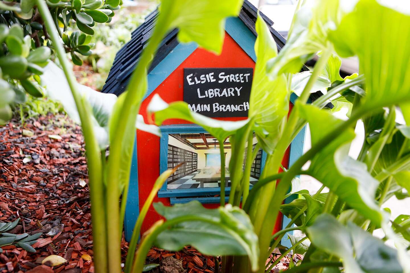 Tiny neighborhood libraries worth checking out