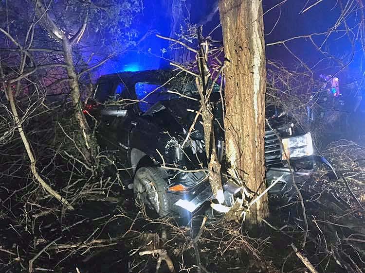Driver uninjured after crashing into tree in Monroe