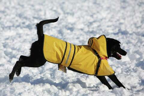 Snow Rain More Snow Slush And More What To Know About The
