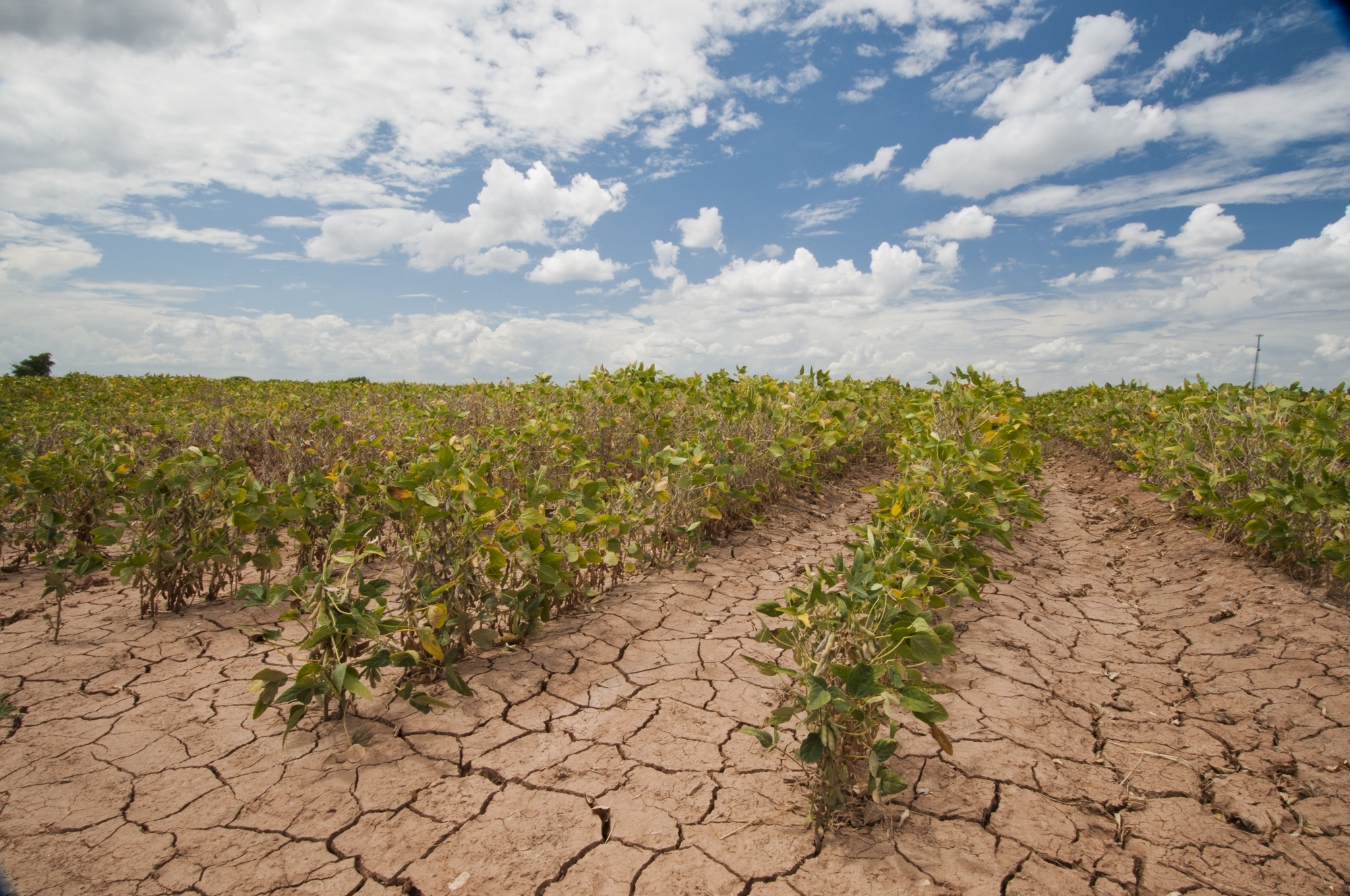 texas-is-growing-fast-we-need-to-protect-our-water-houstonchronicle