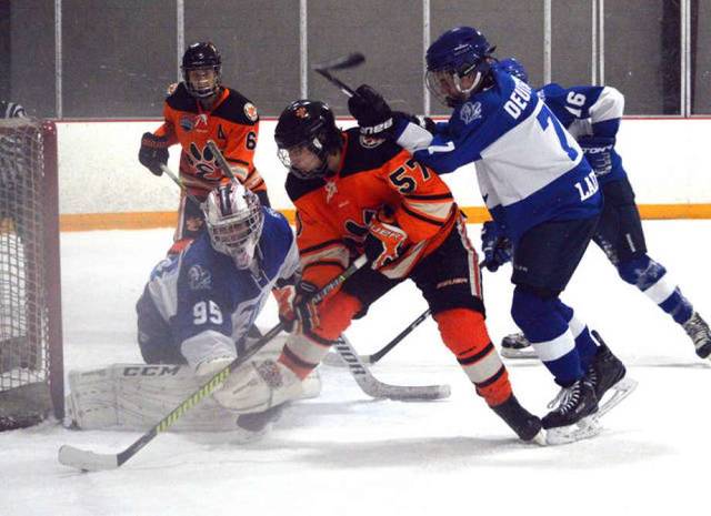 ICE HOCKEY: Tigers made progress throughout season