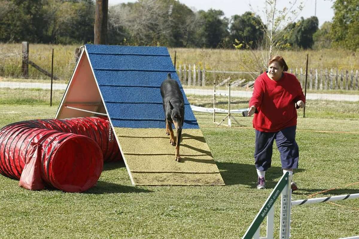Place: 12800 block of Susanna Lane, Alief Date: Feb. 8, 2019Details: Doberman Pinscher enthusiast Elaine Richman, 66, was found dead in her backyard after an apparent dog attack. Police were called to her home for a welfare check after she hadn't been seen at her dog training classes for two days. Police said she was covered with dog bites on her face, arms and hands.