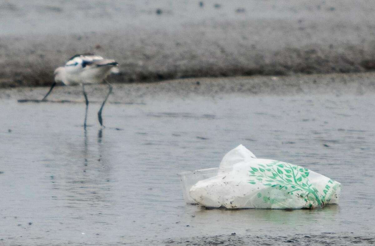 A bird picks around a disposed plastic bag during low tide at Damon Slough along Highway 880 in Oakland, Calif. Tuesday, Feb. 12, 2019. This slough is a common place for trash to accumulate from the freeway and other major roadways.