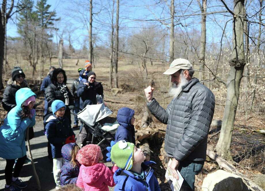Backyard Bird Counts And Other Things To Do In Greenwich