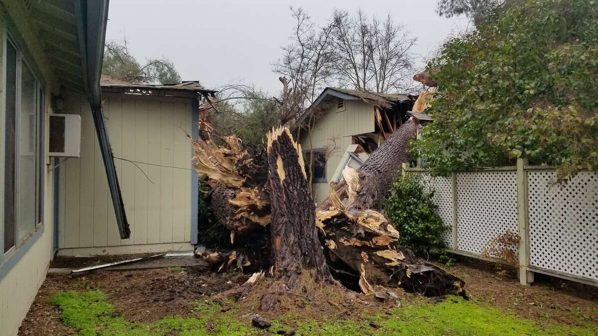 In Atascadero in San Luis Obispo County, a massive tree fell onto a house, displacing its residents. "This storm is not only bringing rain, but heavy and sustained winds that stress trees in the already saturated soil," the Atascadero Fire Department warned.