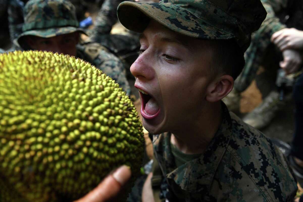 A US Marine soldier eats a jackfruit during a jungle survival training with Thai soldiers in the joint 'Cobra Gold' military exercise in Chantaburi province on February 14, 2019. - The US and Thailand hold on February 14, the annual joint 'Cobra Gold', the largest US-led military exercises in Asia involving gruelling drills in the Thai jungle, war games, humanitarian assistance and disaster relief exercise. (Photo by Lillian SUWANRUMPHA / AFP)LILLIAN SUWANRUMPHA/AFP/Getty Images