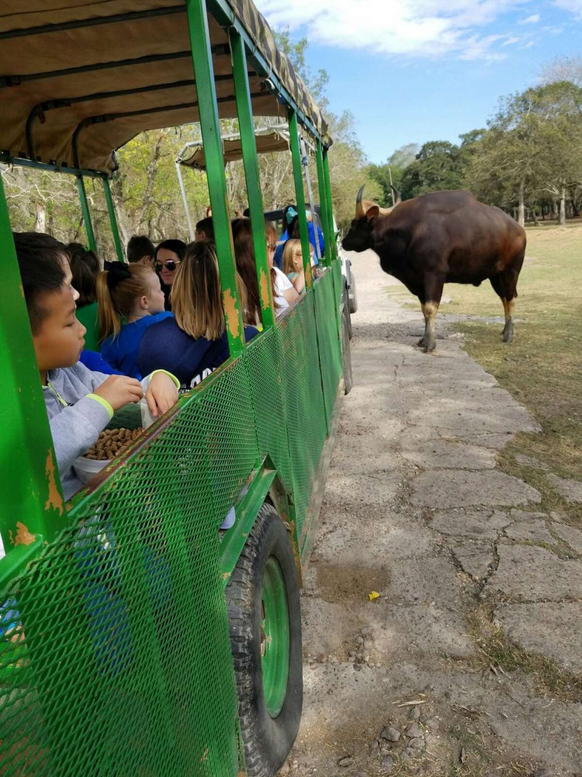 Bayou Wildlife Zoo5050 FM 517, Alvin This kid-friendly zoo tucked away in Alvin lets the animals roam freely throughout the property and offers attendees the chance to get up and close and personal with them. Photo courtesy Jo J/Yelp