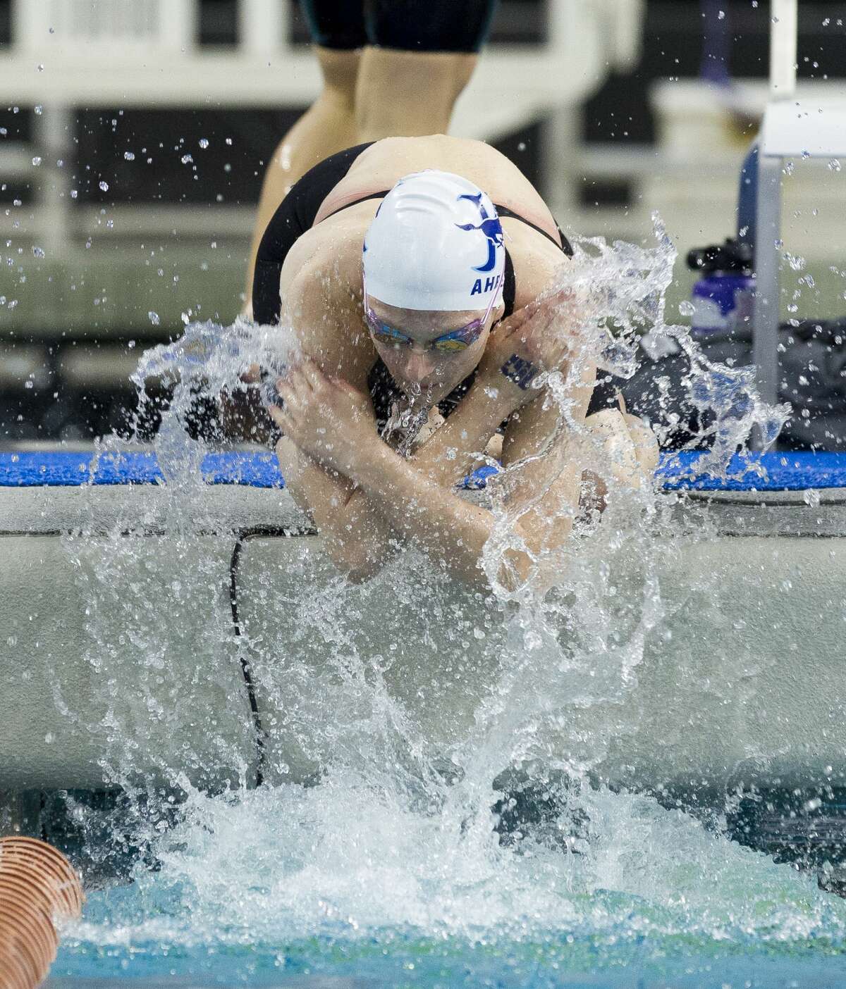 Swimming Montgomery Lady Bears Win First Ever State Title