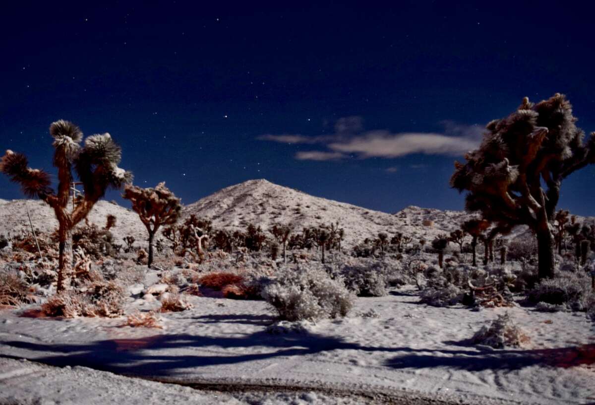 Joshua Tree dusted in rare snow, making an already otherworldly