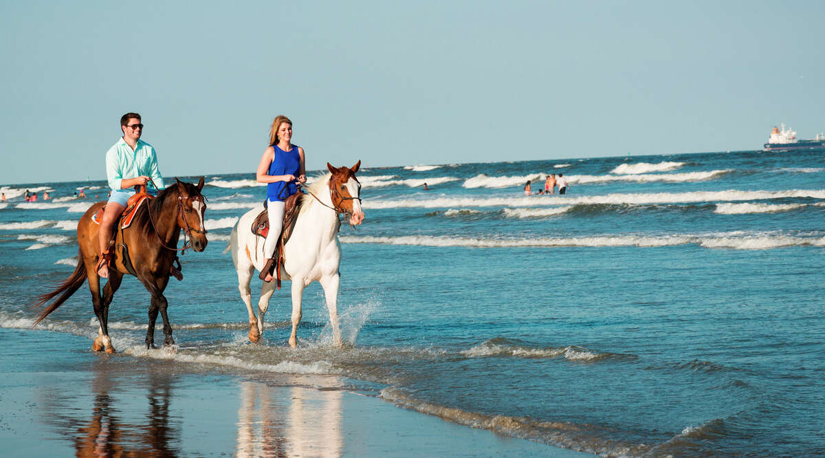 Galveston Island Horse & Pony Rides Sitting high in the saddle as you tour the beach on horseback offers a unique perspective that can't be duplicated. The folks at Galveston Island Horse & Pony Rides, who are passionate about horses and the beautiful coastal landscape, carefully select and train their horses to ensure that you have an enjoyable riding experience — even if you don't possess superior equine skills.