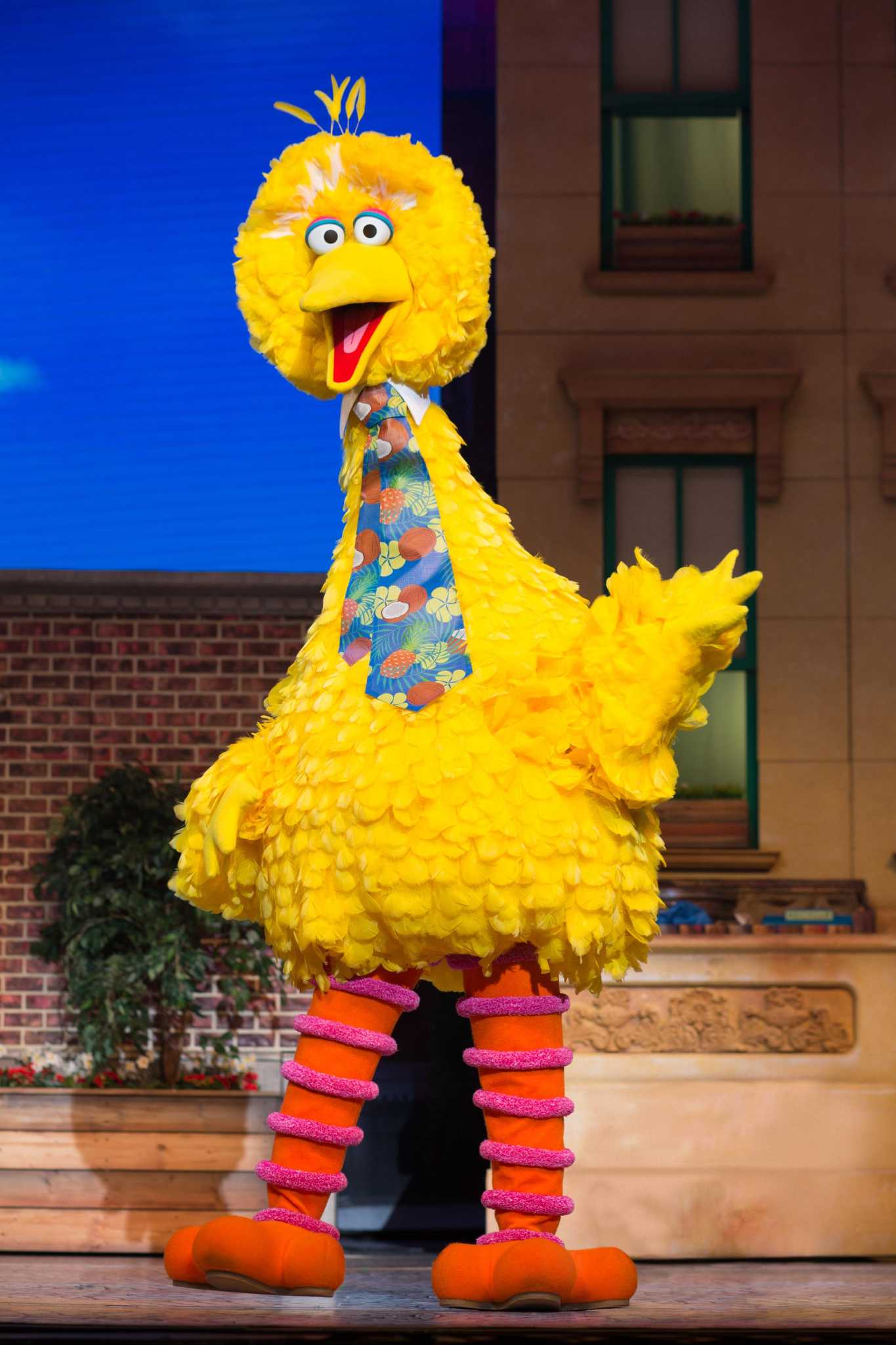 'Sesame Street Live! Find Your Magic' at Toyota Oakdale Theatre in