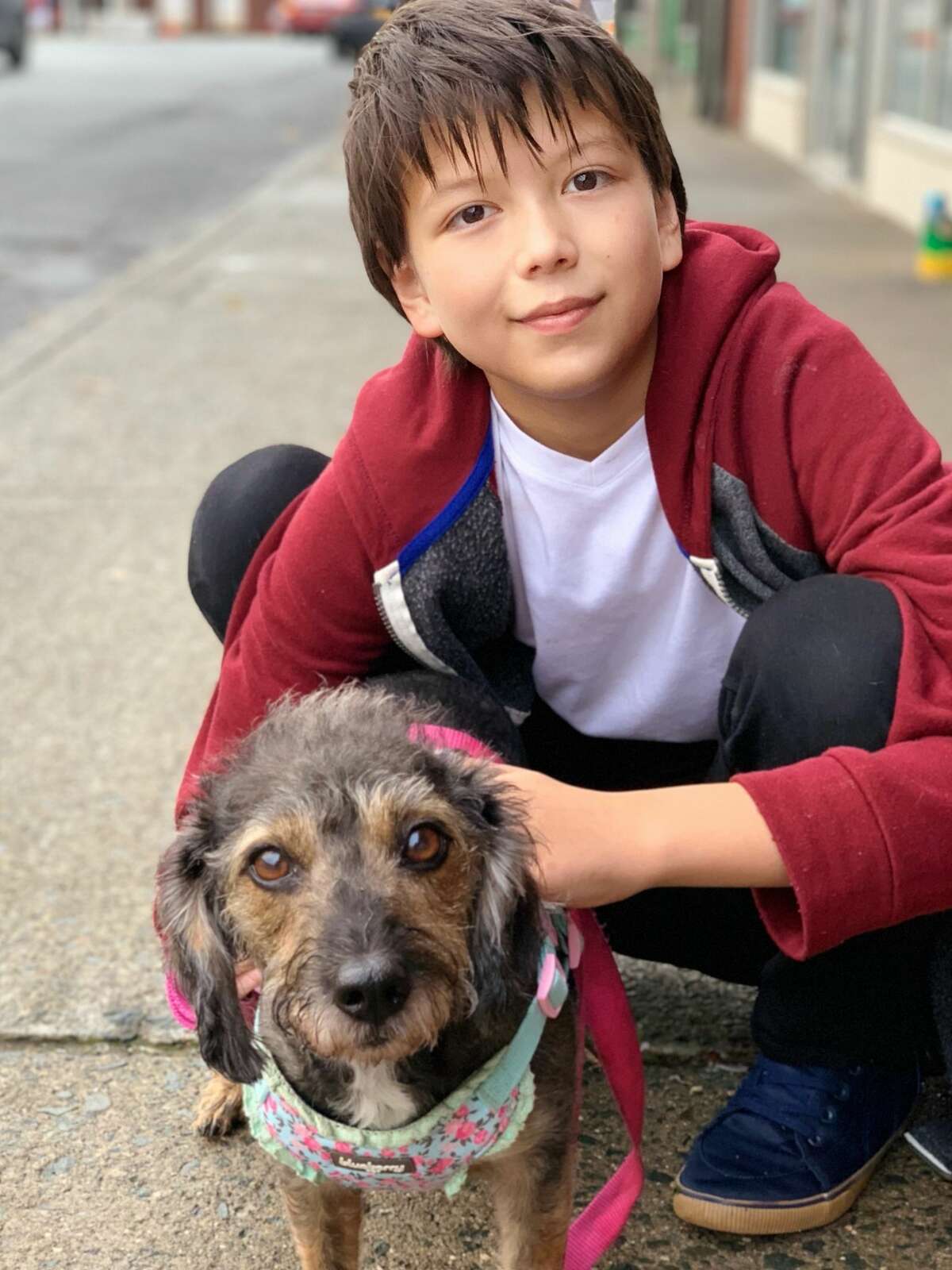 Photos show why it's Love Your Pet Day