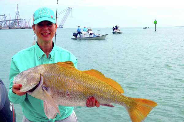 Black Drum Slot Limit Texas