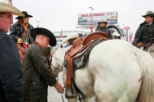 Hummer driver strikes horse in Sam Houston Trail Ride