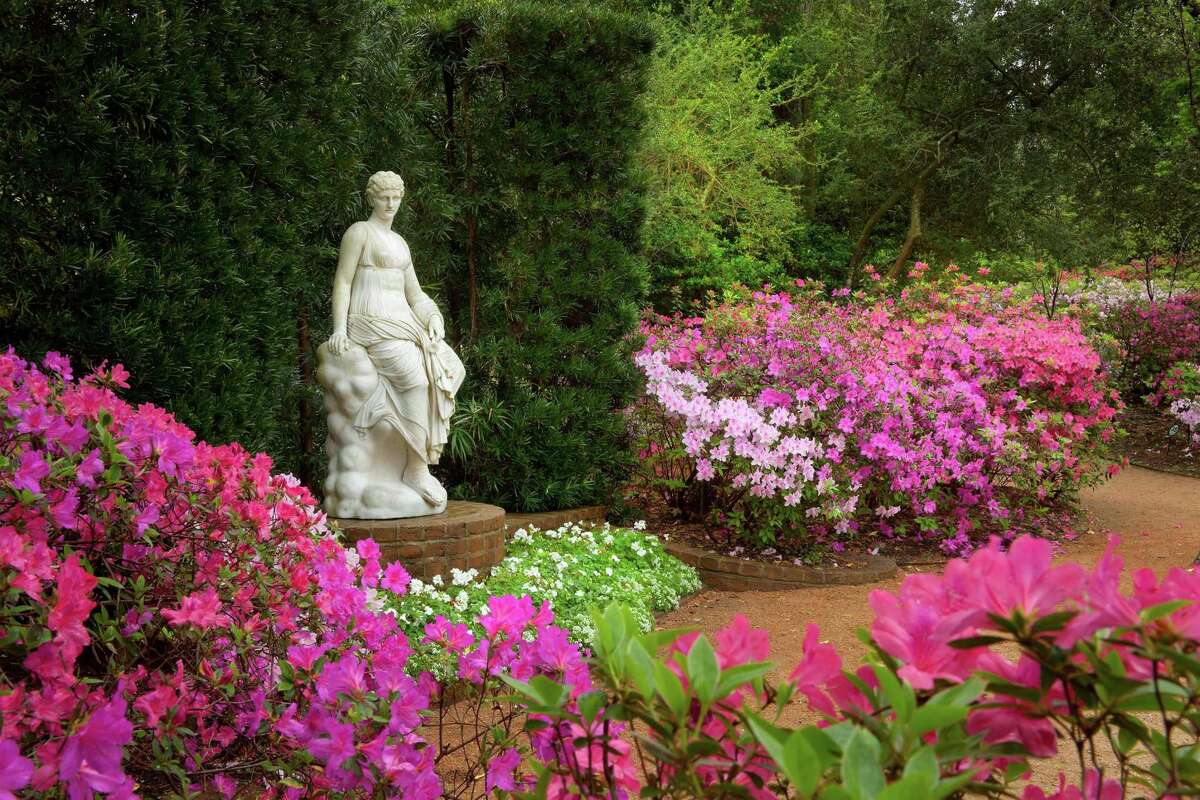 Bayou Bend, with its 14 acre-garden awash in spring blossoms, is always a popular stop along the Azalea Trail Home and Garden Tour.