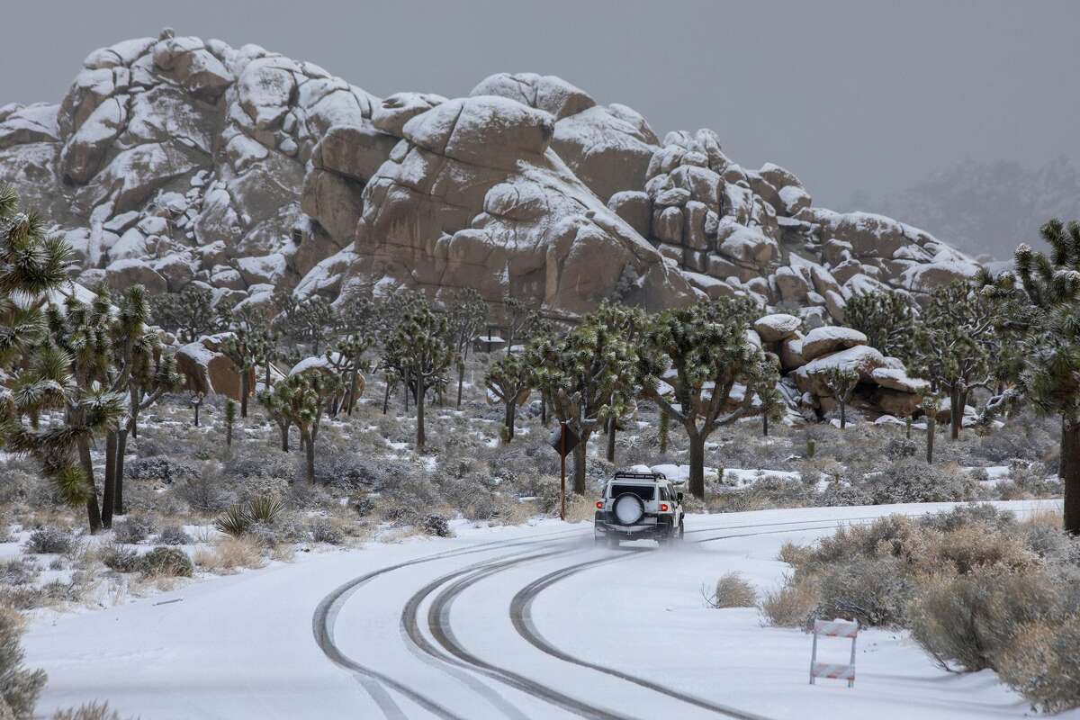 JOSHUA TREE, CA - FEBRUARY 21: Snow blankets Joshua Tree National Park on February 21, 2019 near Joshua Tree, California. A series of storms have been giving the state a much needed chance to restore some water to storage systems that have been depleted by years of drought. (Photo by David McNew/Getty Images)