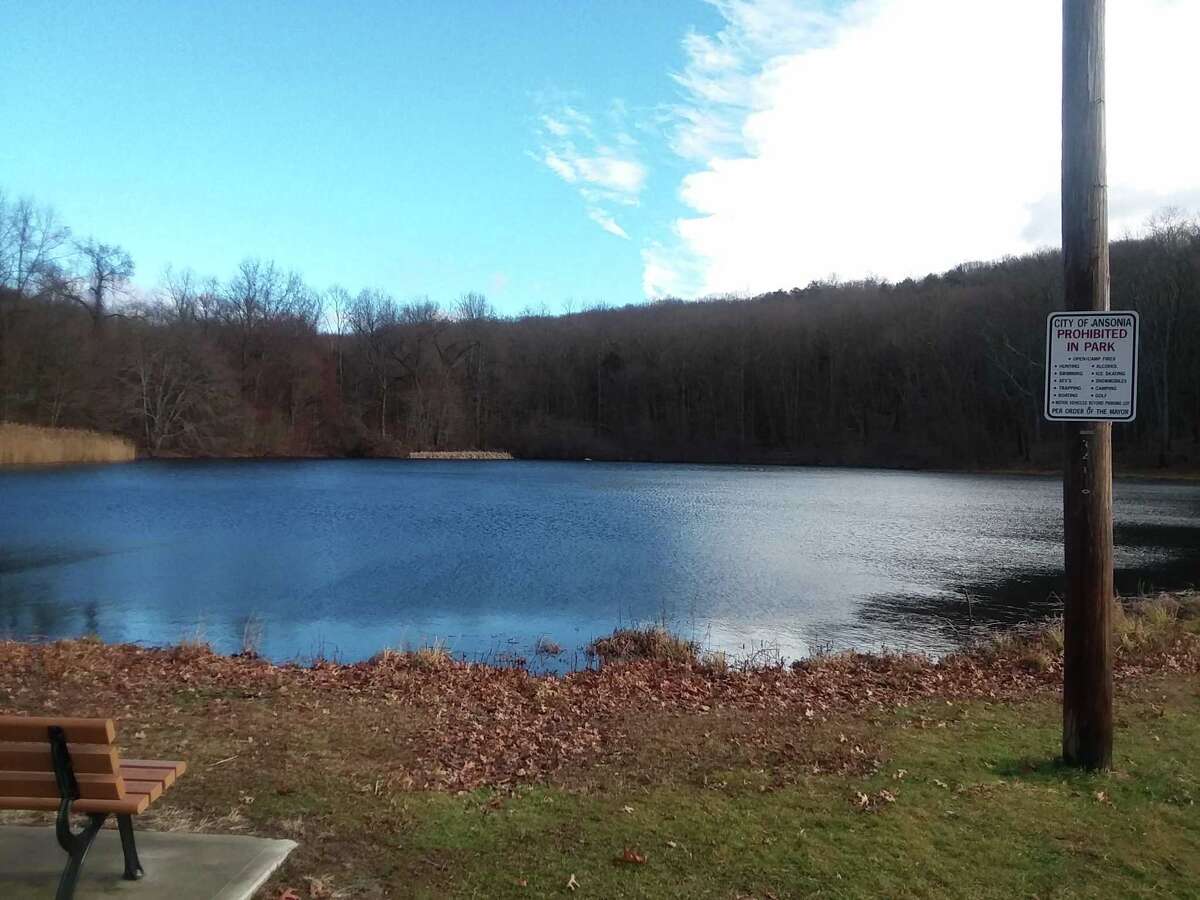 Ansonia’s ‘Clean & Green’ initiatives adds 3 more projects