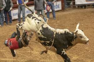 The Tailgate in north Midland wants to host bull riding