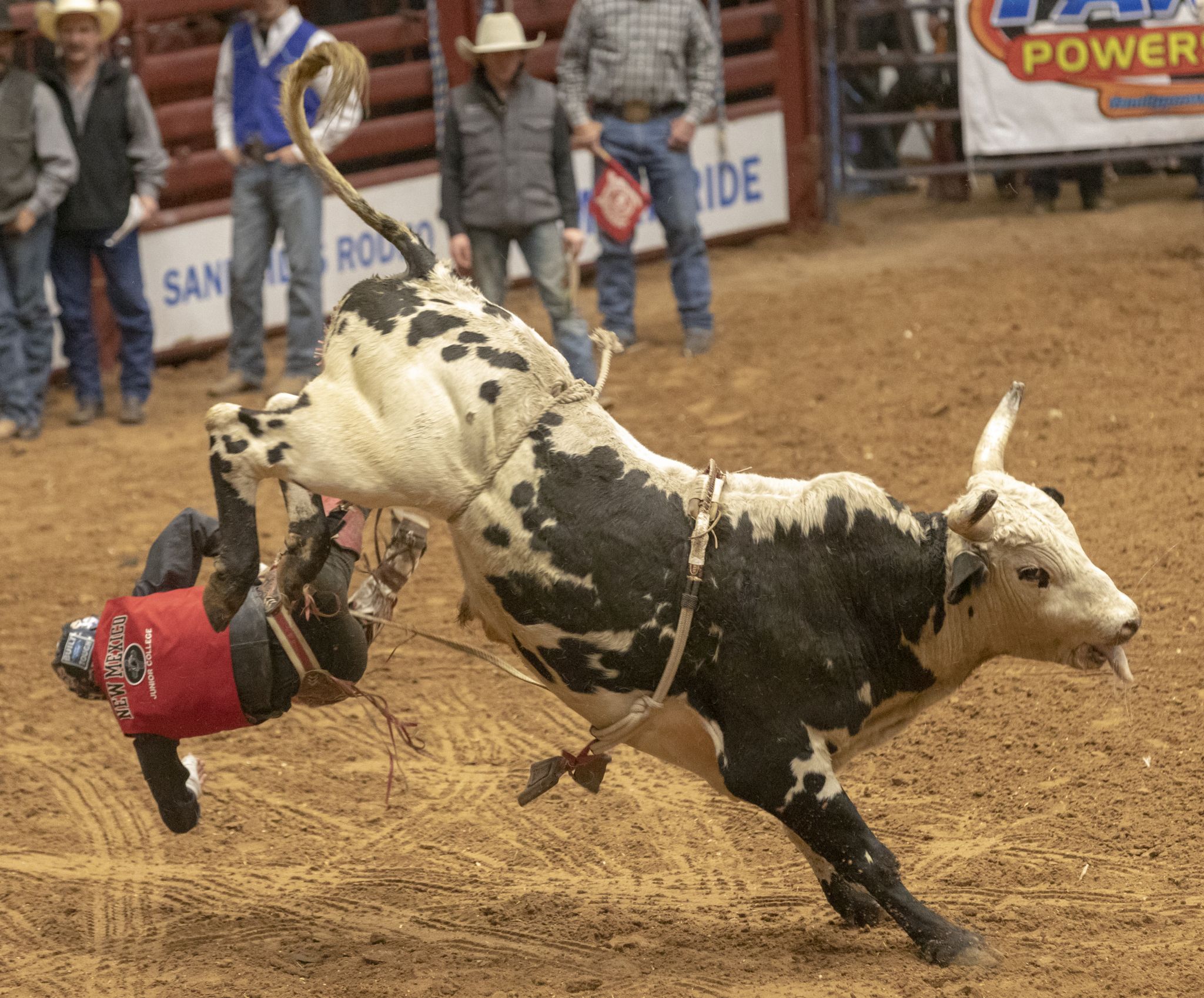 The Tailgate in north Midland wants to host PRCA bull riding event