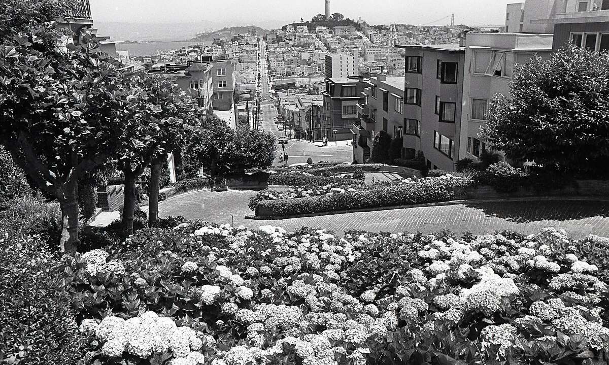 据说世界上最弯曲的街道是伦巴第街，多年来，彼得·伯卡特在这条路上种植和保持了绣球花，1972年6月28日，为了纪念他，人们在那里立了一块纪念碑