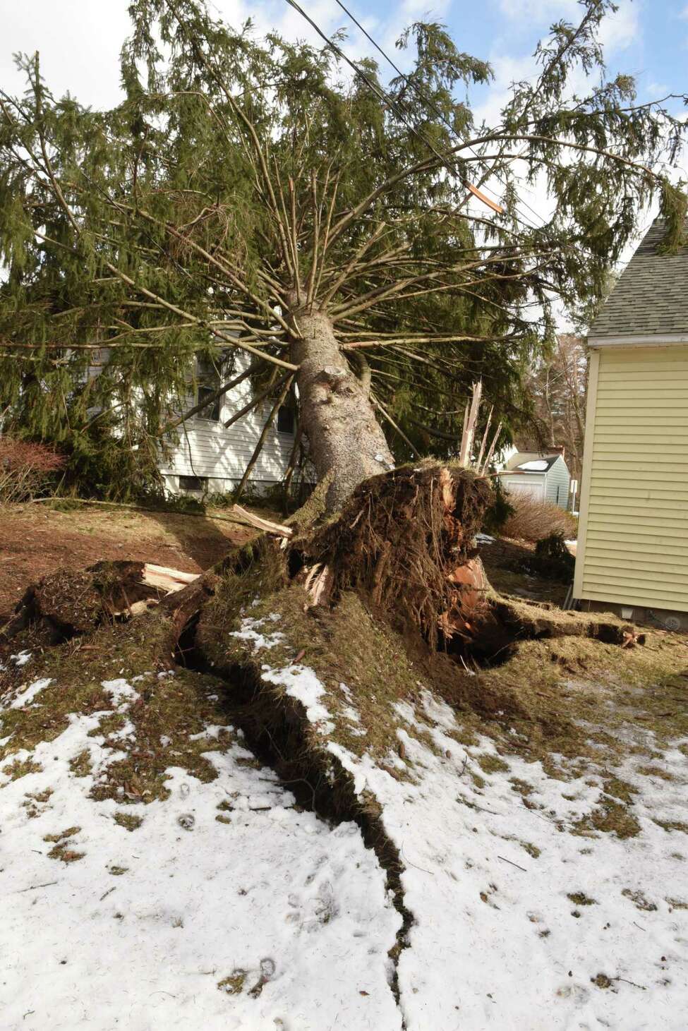 Whipping winds drop power lines, trees around Albany area