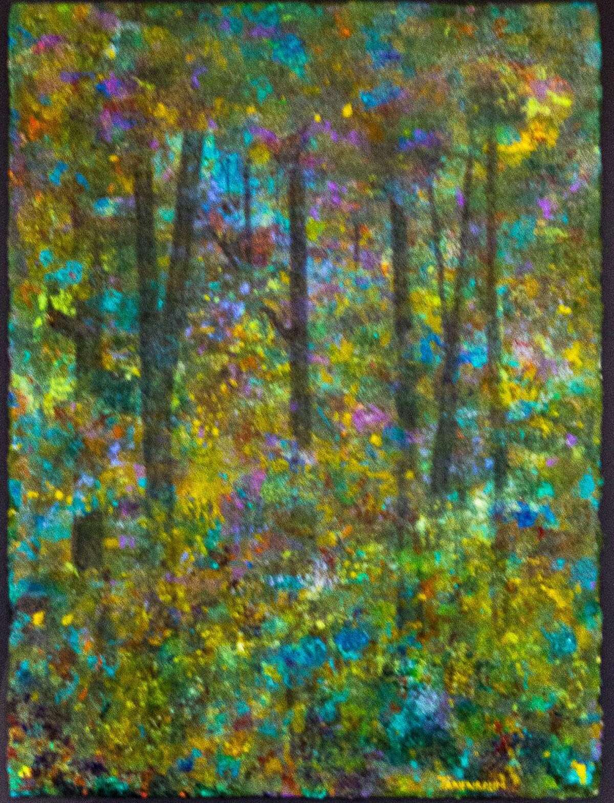 Spectrum/ The Kent Art Association has announced the winners of its 96th annual Members Show, which is open Thursdays through Sundays from 1 to 5 p.m. through March 17 at the 21 South Main St. gallery. Steven Tanenbaum of New Milford was presented an Award of Excellence for her acrylic “Enchanted Forest.” Feb. 2019 Courtesy of Kent Art Association