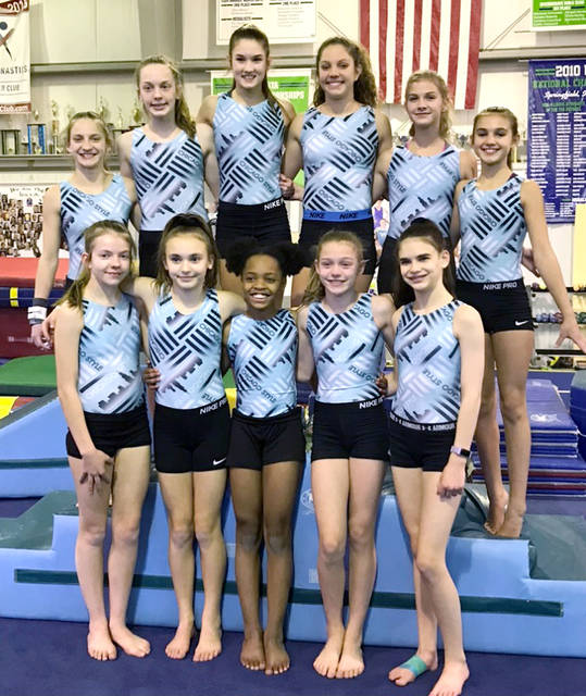 Mid Illinois gymnasts ready for state meets
