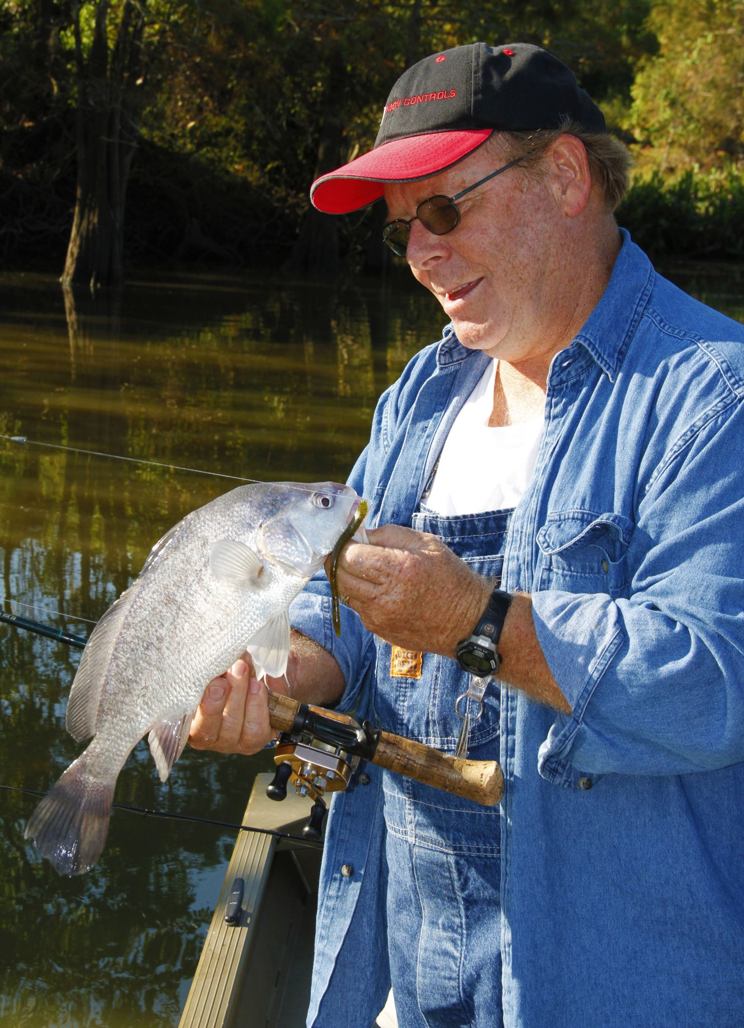 How do I catch fish in this bayou? : r/Fishing