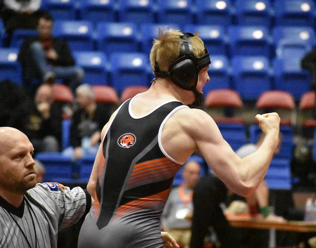 WRESTLING MVP: Second-place state finish caps Surtin's ...