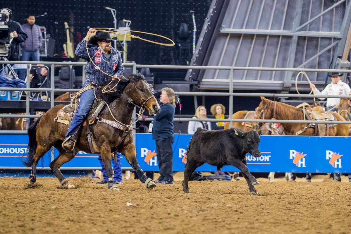 Rodeo Houston Guide 101