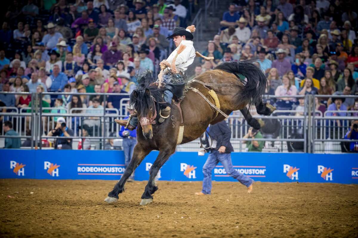 Rodeo 101: Here's your guide to understanding the events at RodeoHouston