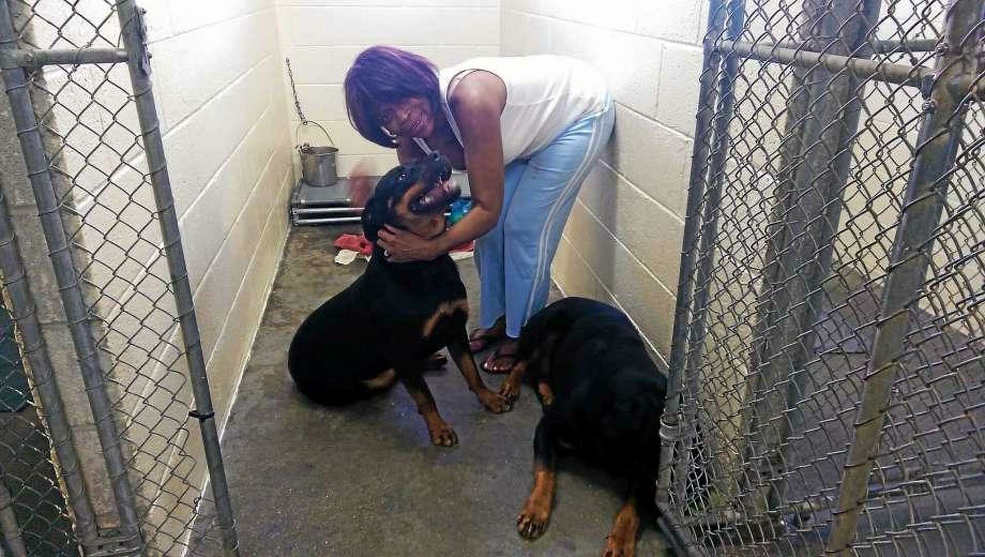 Hamden must move out of North Haven animal shelter