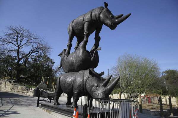 New Rhino Habitat At San Antonio Zoo Offers Expanded Interactive Environment ExpressNews