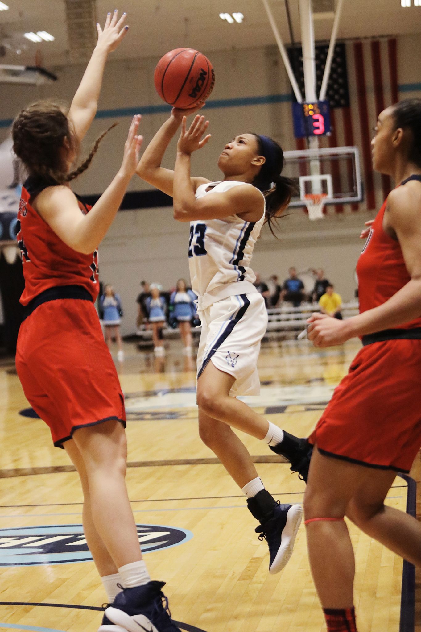 Northwood vs. SVSU women's basketball - Feb. 28, 2019