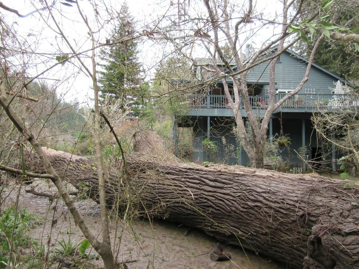Photos show eerie scene as Guerneville recovers from massive flooding