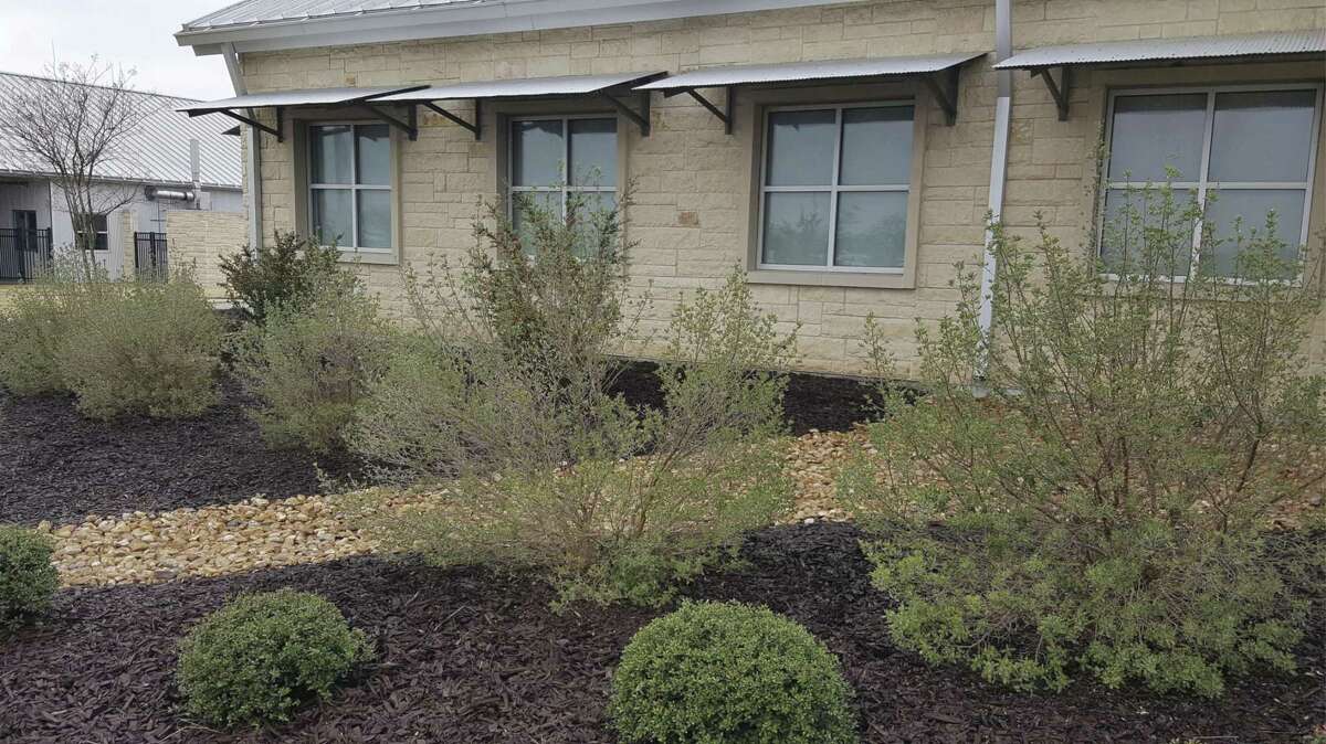 Potter Landscaping for Longevity