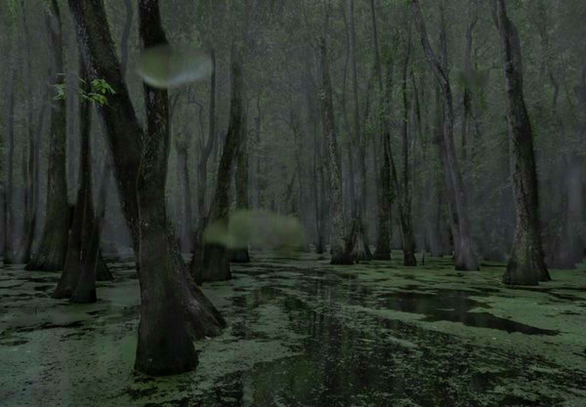 Jeanine Michna-Bales shot this photo, 'Cypress Swamp' in 2014 in Middle, Mississippi. It is among four images on display in the exhibit, 'Southbound:Photographs of and about the new South.'