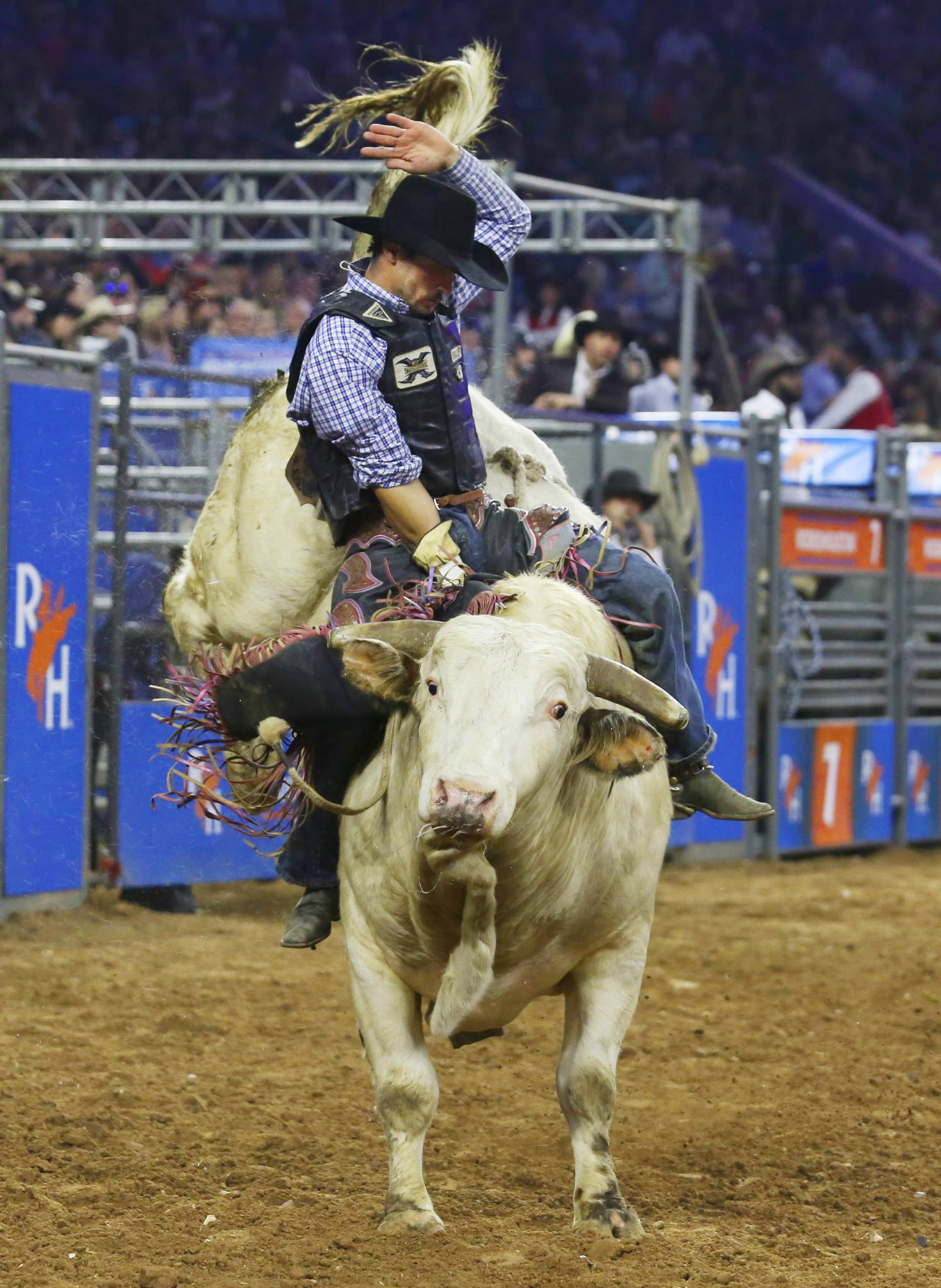 We asked rodeo cowboys to show us their scars. Here's what we saw