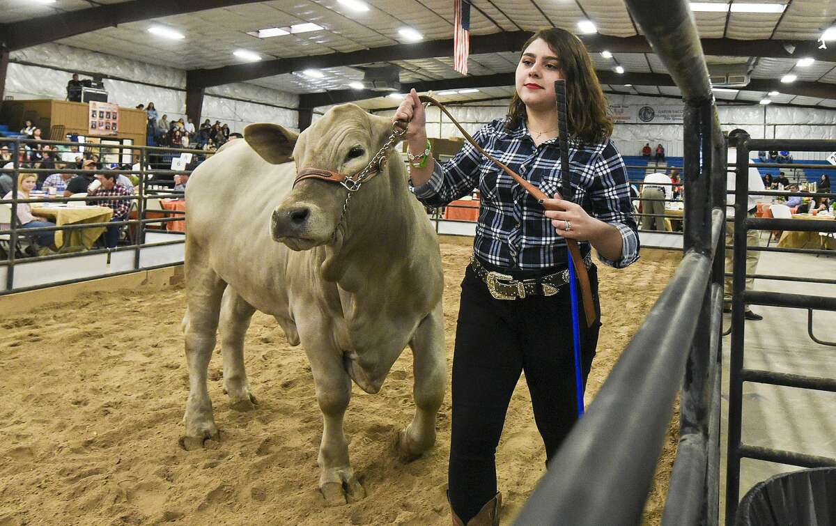 Silver Rose 4-H Club member Andrea Bustos shows off her steer to potential buyers on Saturday, Mar. 2, 2019, during the L.I.F.E. Fair livestock auction at the L.I.F.E. grounds.