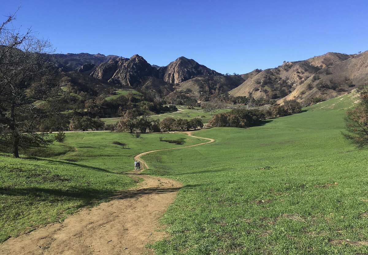 The Grasslands trail at Malibu Creek State Park near Calabasas, Calif., is seen on Jan. 21, 2019, after rains caused new green growth on lands blackened by the 2018 Woolsey wildfire. California is drenched and its mountains are piled high with snow after winter storms that were unimaginable just a few months ago. (AP Photo/John Antczak)
