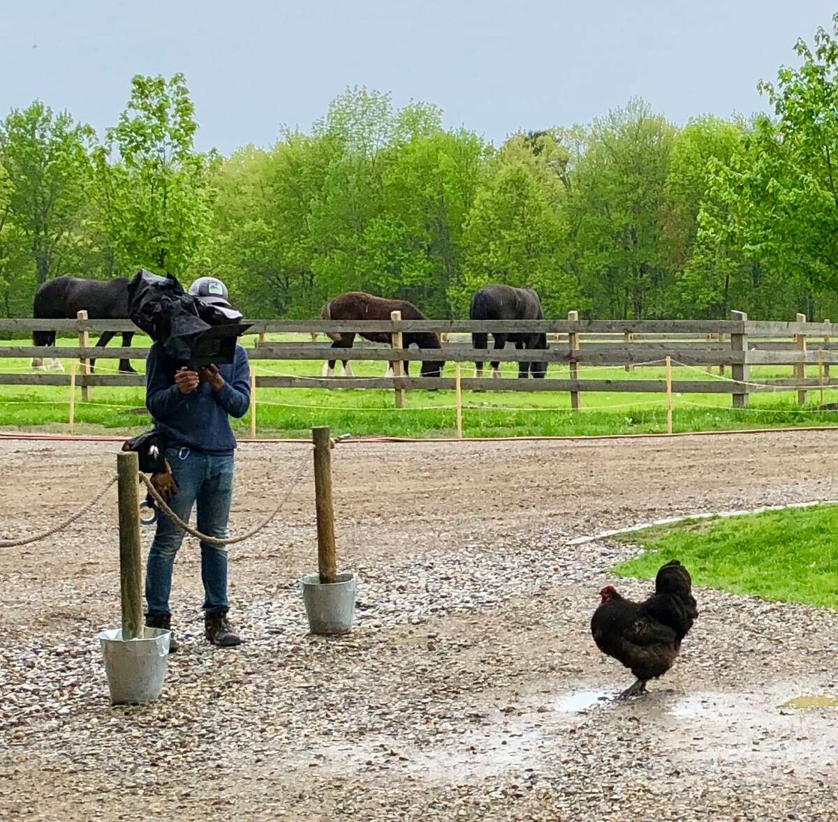 Cameraman and chicken during shooting at June Farms for “Backyard Envy.”