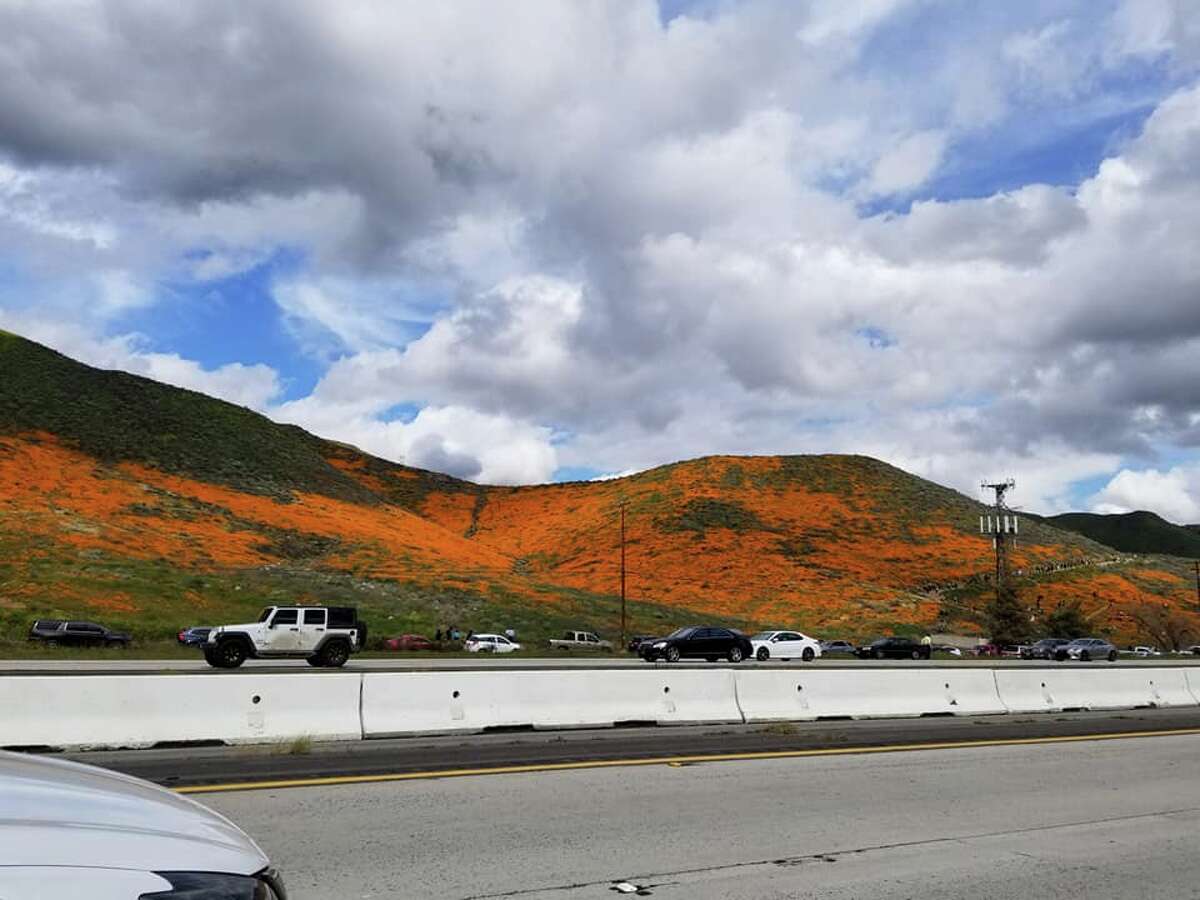 Poppy jam: Thousands are flocking to the poppy display along Interstate 15 near Lake Elsinore, Calif. The image was taken on March 3, 2019, off the exit at Lake Street.