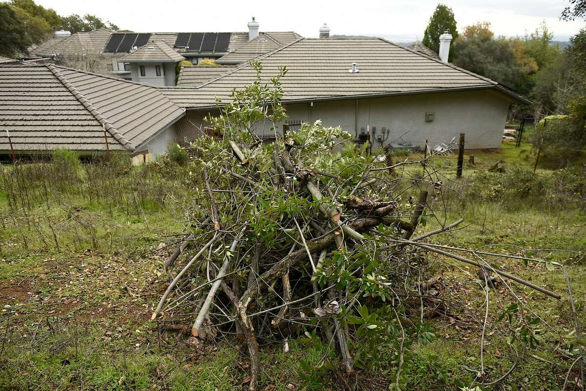 A pile of underbrush sits next to a home as a Cal Fire fuel reduction crew work clearing brush on Vallejo Water District land in Fairfield, Calif., on Monday February 25, 2019.