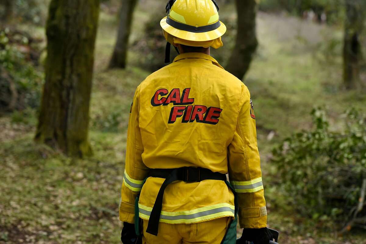 California wildfires Report names priority projects for thinning