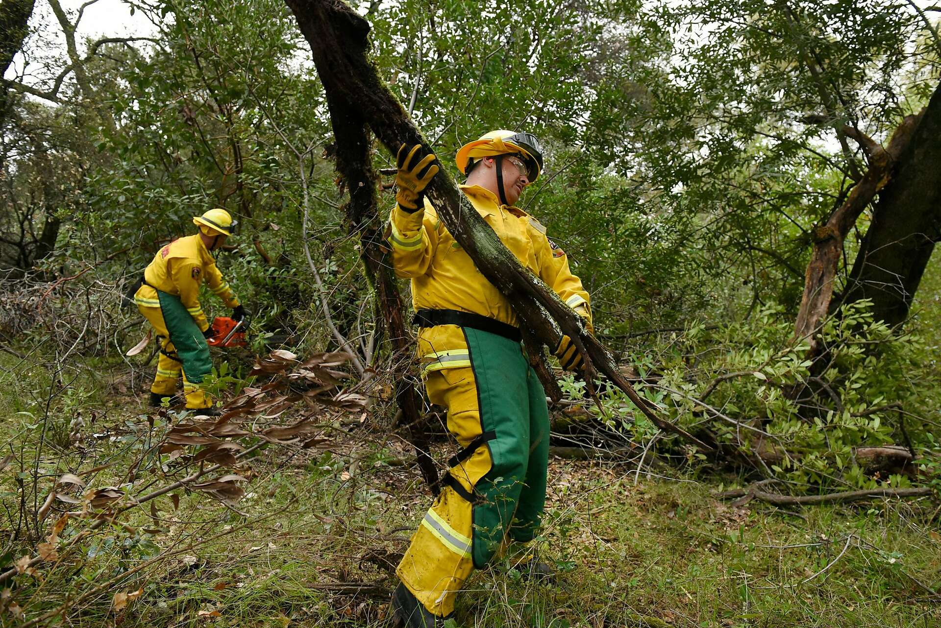 California wildfires: Report names priority projects for thinning ...