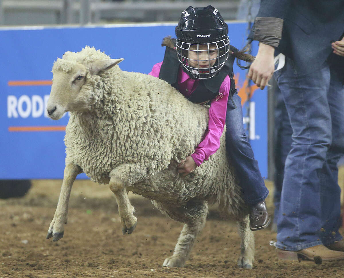 Mutton Busting A good, fast ride