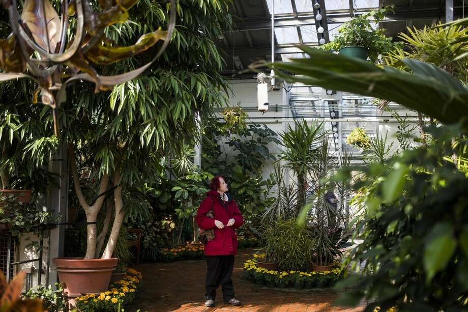 Dow Gardens butterfly house open to visitors March 7, 2019 Midland