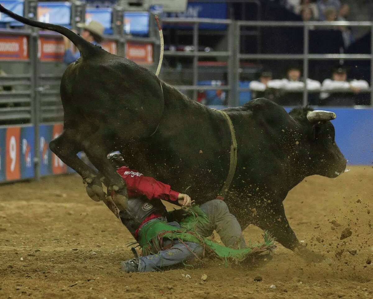 Squeamish photos show ups and downs of rodeo competition